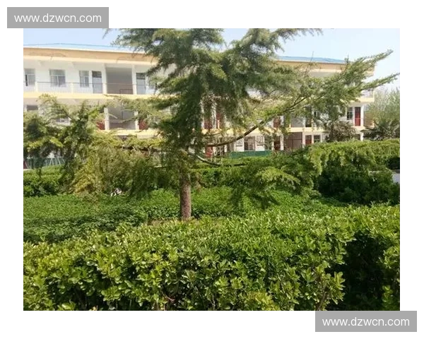 风暴英雄感染蔓延时代的全球危机与传奇英雄觉醒征程史诗战役篇章